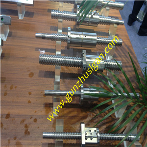 DFSR2005滾珠絲桿實物圖